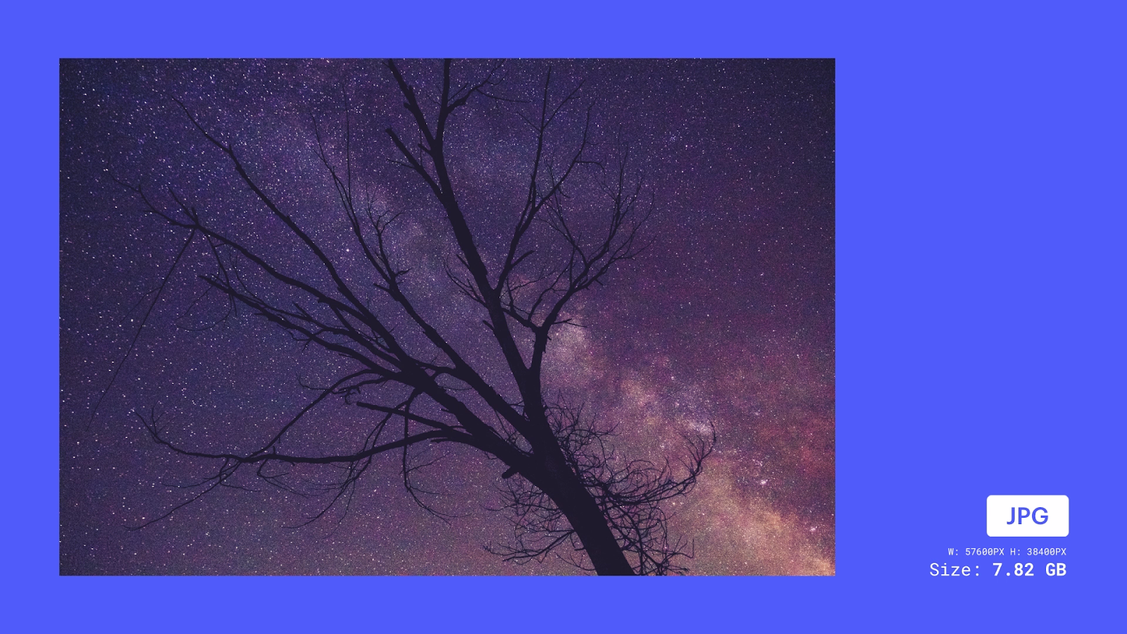 An example image of a tree at night. The example image has a width of 57600 pixels and a height of 38400 pixels, and the file size is 7.82GB, which is very large and unwieldy for a browser to load.