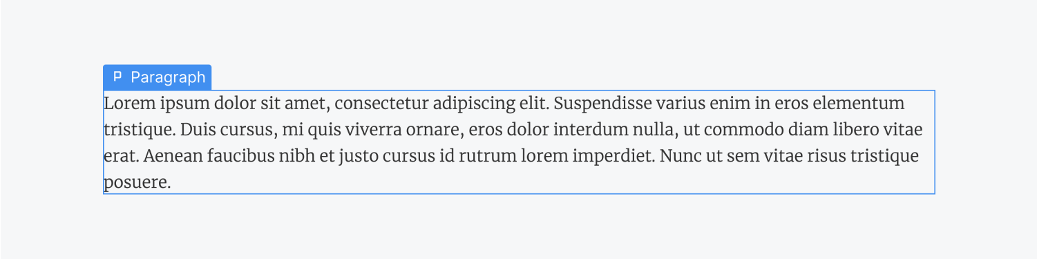 A paragraph element filled with lorem ipsum text.