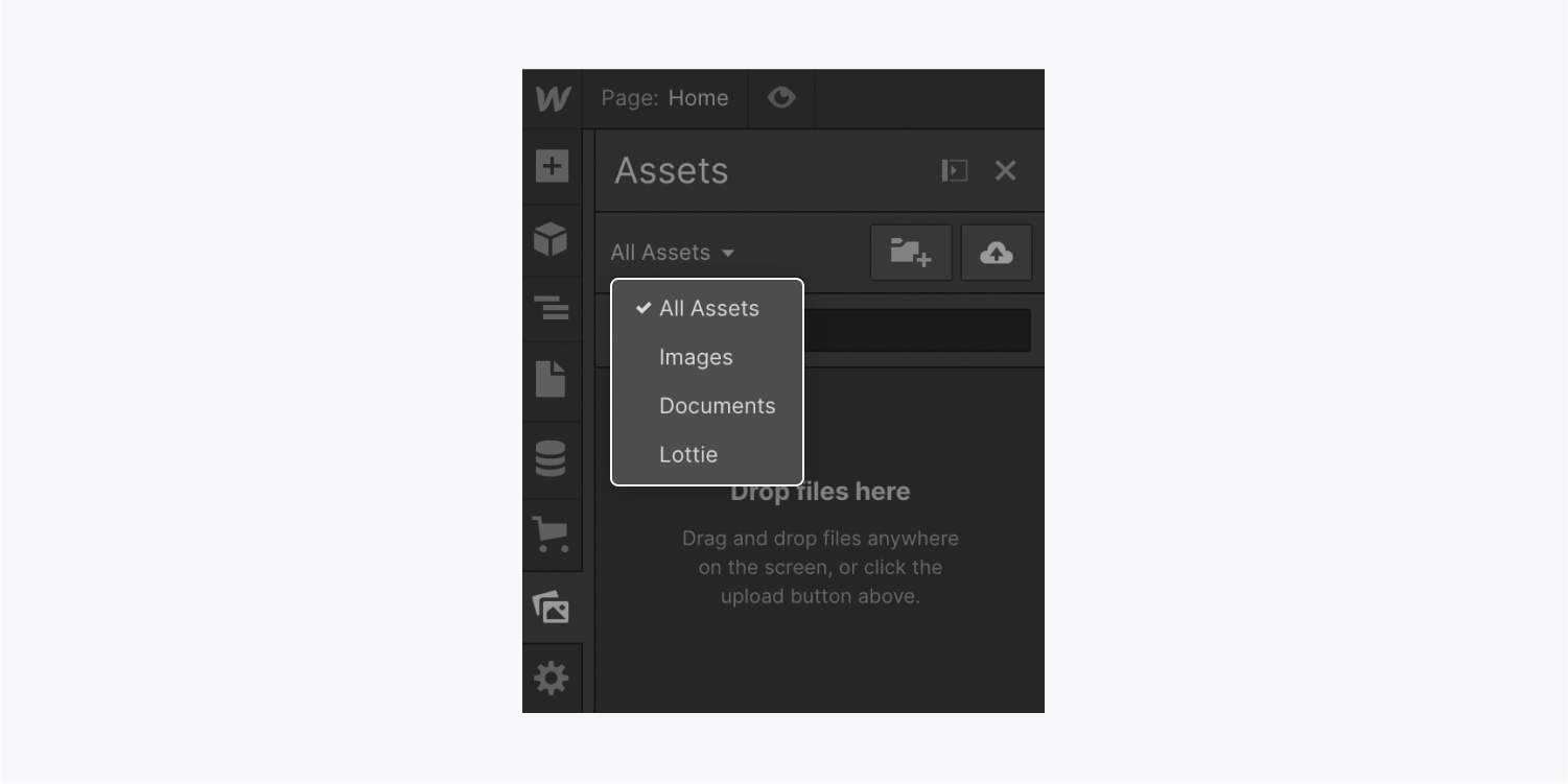 The dropdown to filter assets is highlighted in the Assets panel. The 4 options are “All assets,” “Images,” “Documents,” and “Lottie.”