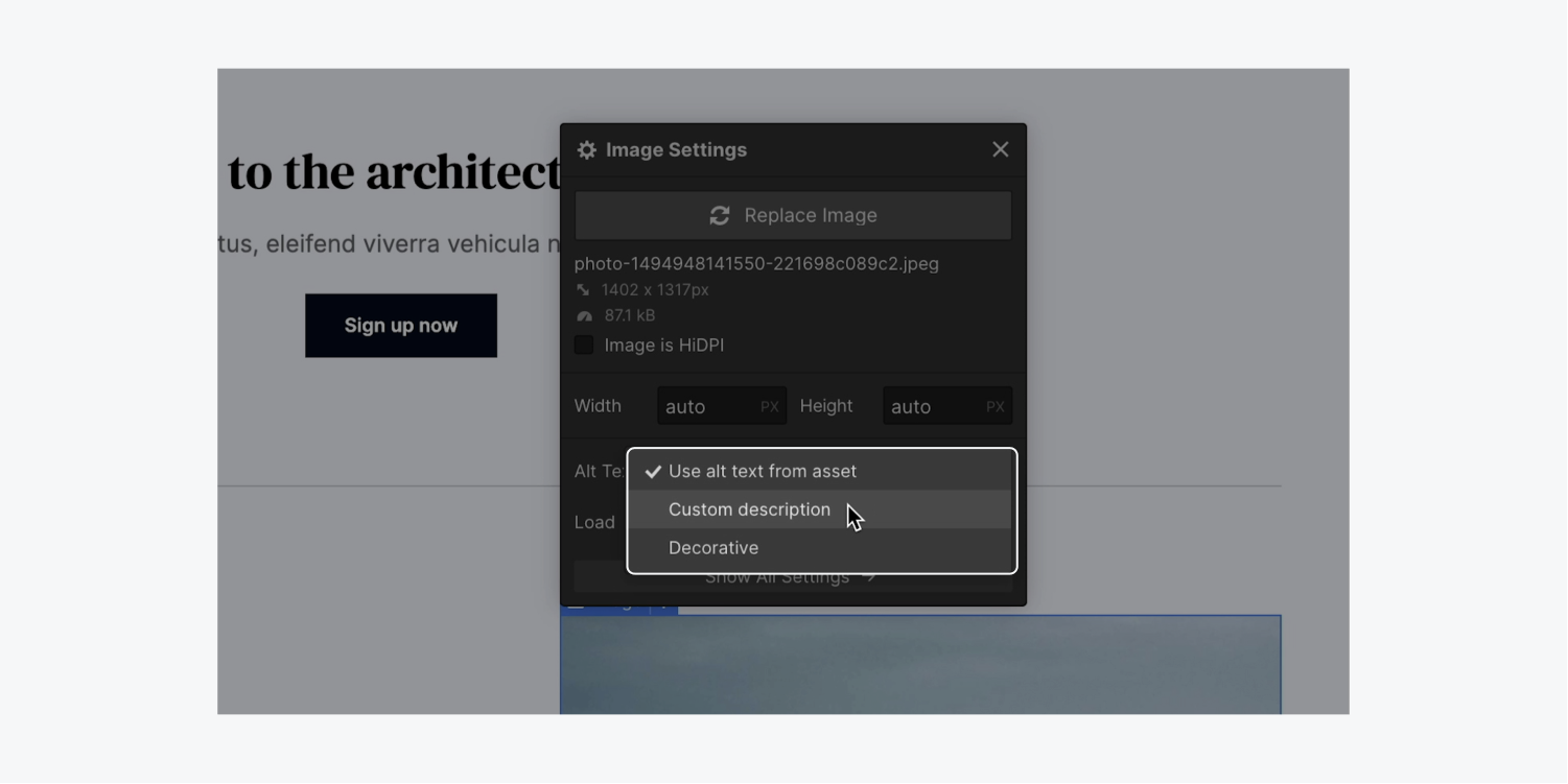 An Image’s settings modal highlights the ability to choose to set a Custom description for an image’s alt text. 