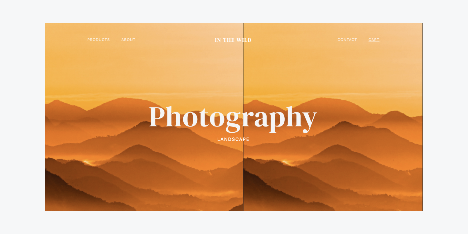 A landscape background is tiled horizontally across the homepage of an example photography website. 