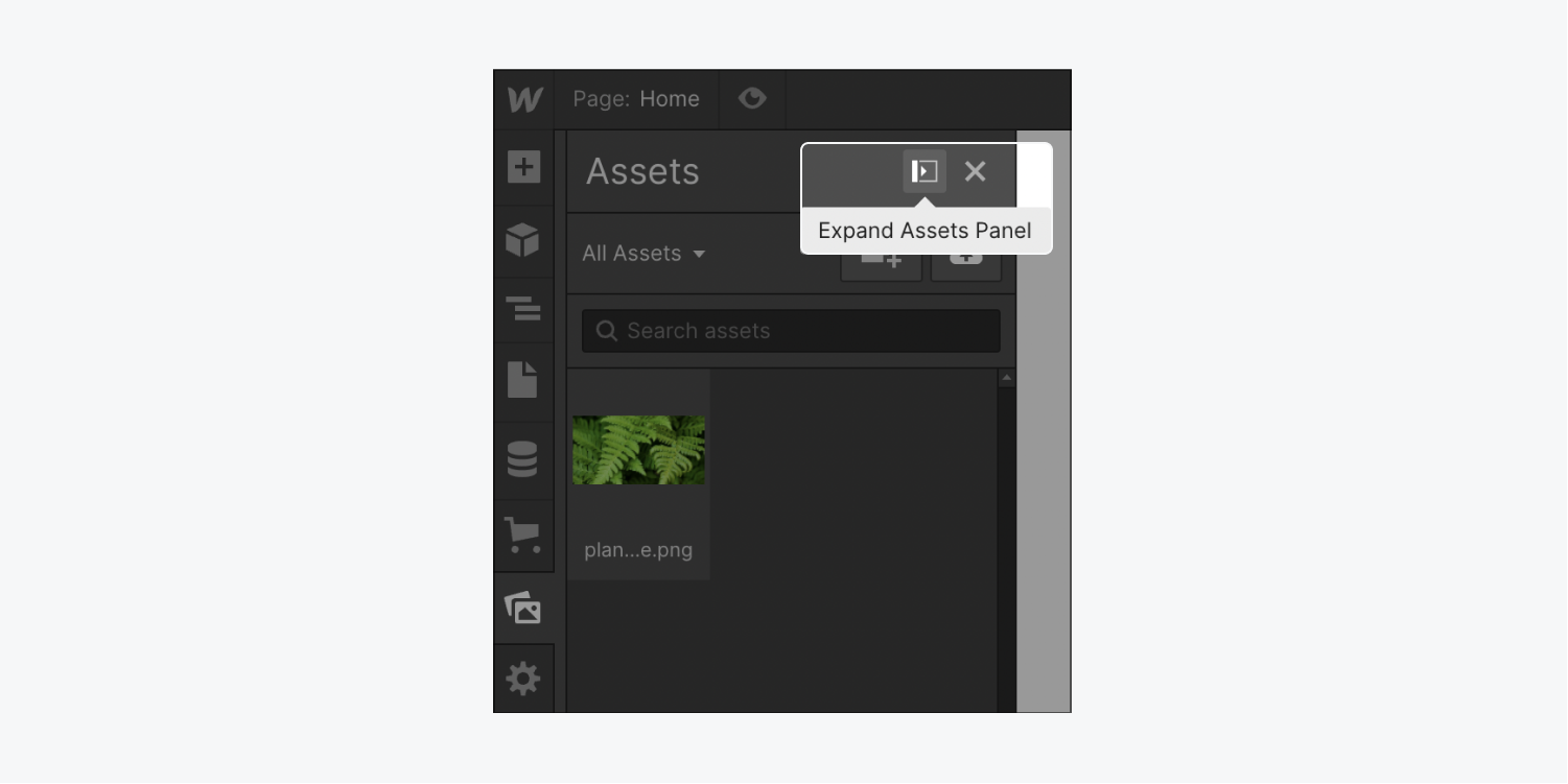 The “Expand assets panel” icon in the Assets panel.