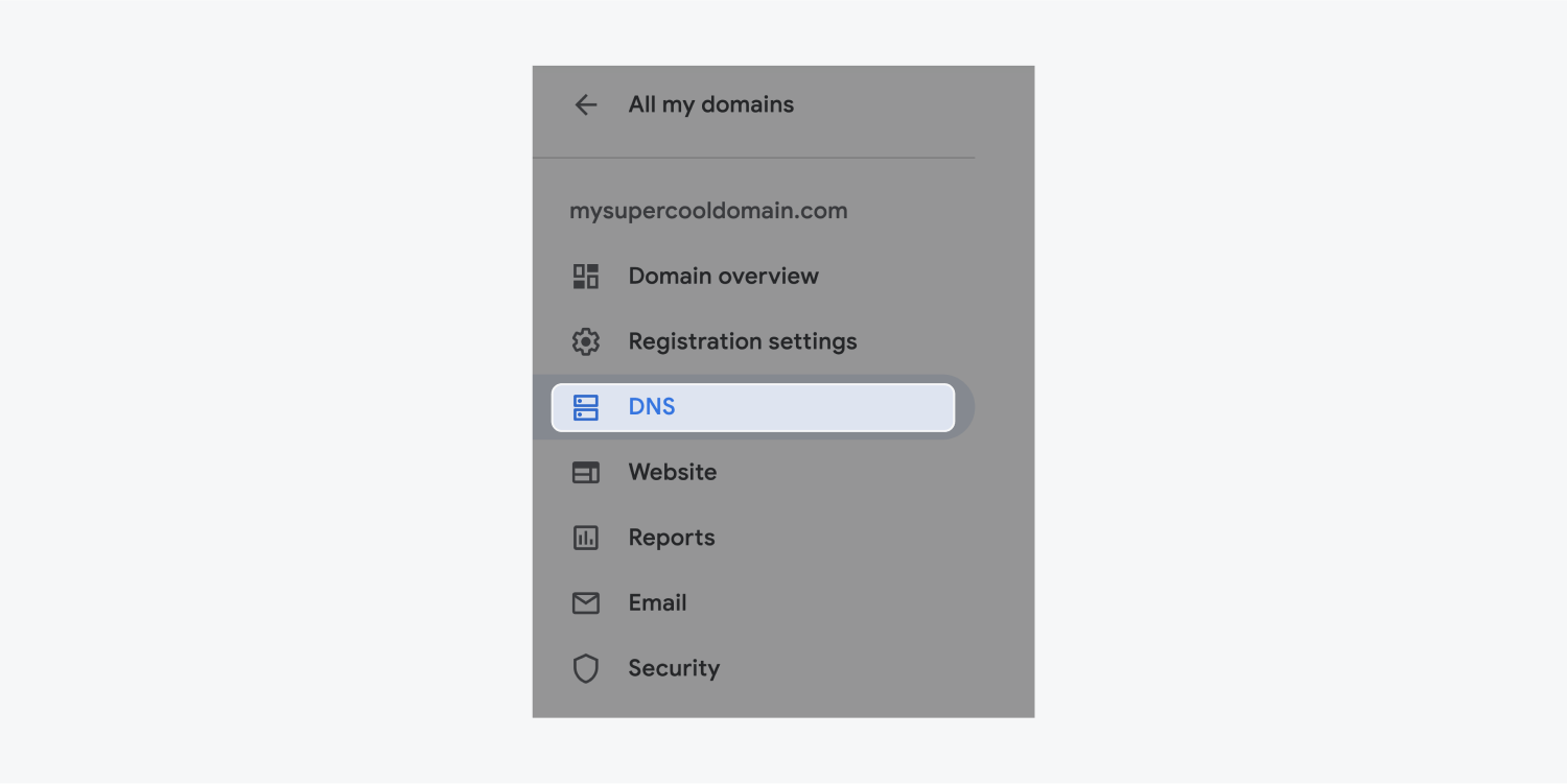 The sidebar includes a link to go back to all my domains, the domain name and links to domain overview, registration settings, DNS (highlighted), website, reports, email and lastly security. 