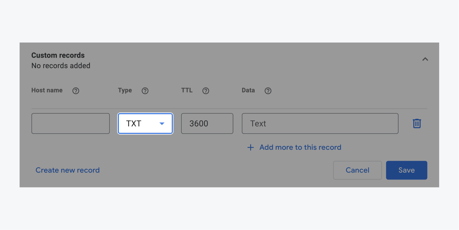 The TXT option in the type drop down menu is selected and highlighted within the Custom records section. 