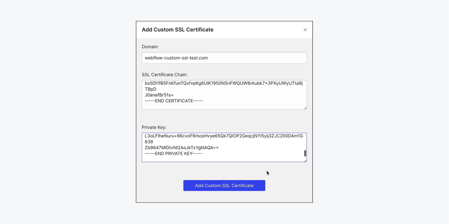 The “Add custom SSL certificate” modal with a Domain field, SSL certificate chain field, and Private key field.