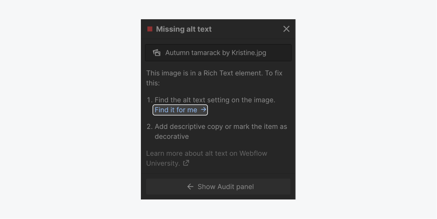 The “Find it for me” option appears in the Missing alt text information modal.