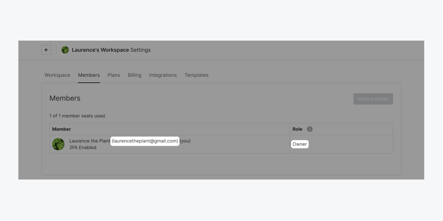 The Workspace owner’s email address and role are highlighted in the Members tab.